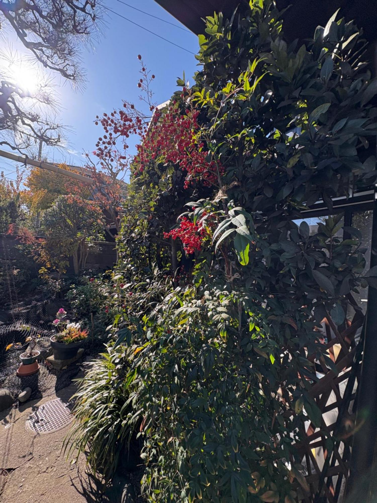 Kitazawa Cozy House Hotel Tokyo Luaran gambar