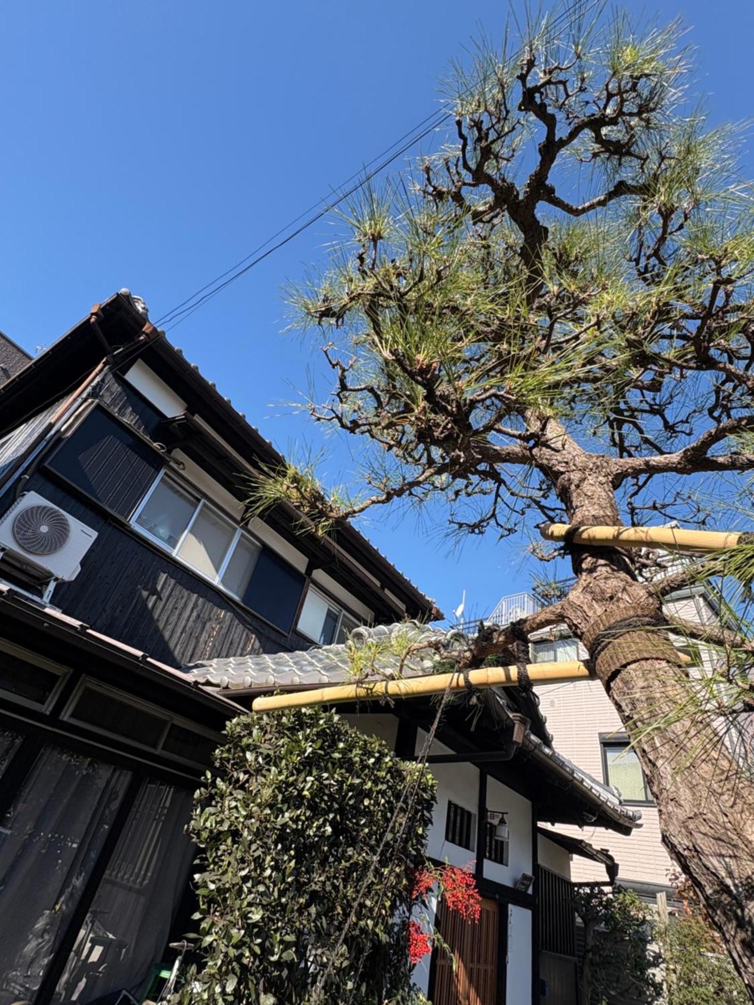 Kitazawa Cozy House Hotel Tokyo Luaran gambar